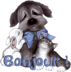 salut sa va